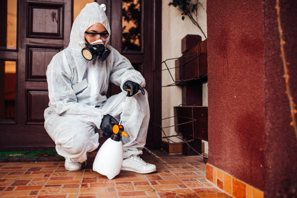 Reliable Bed Bug Control contractor in Pearisburg, VA by Nex Pest Control