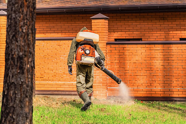 Trusted Termite Control service in Pearisburg, VA - Nex Pest Control